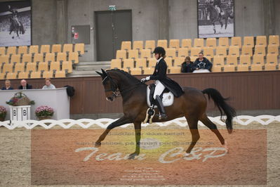 Ecco Cup finaler 2019
youngrider, u18
Nøgleord: karoline rohmann;jakas don louvre