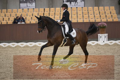 Ecco Cup finaler 2019
youngrider, u18
Nøgleord: karoline rohmann;jakas don louvre