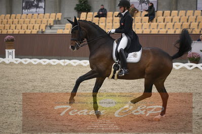 Ecco Cup finaler 2019
youngrider, u18
Nøgleord: karoline rohmann;jakas don louvre
