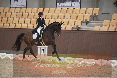 Ecco Cup finaler 2019
youngrider, u18
Nøgleord: karoline rohmann;jakas don louvre