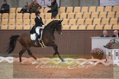 Ecco Cup finaler 2019
youngrider, u18
Nøgleord: karoline rohmann;jakas don louvre