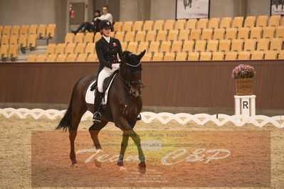 Ecco Cup finaler 2019
youngrider, u18
Nøgleord: sophia ludvigsen;safari klintgaard