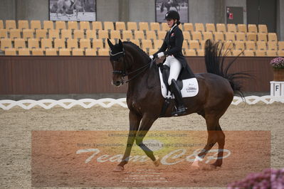 Ecco Cup finaler 2019
youngrider, u18
Nøgleord: sophia ludvigsen;safari klintgaard