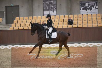 Ecco Cup finaler 2019
youngrider, u18
Nøgleord: sophia ludvigsen;safari klintgaard