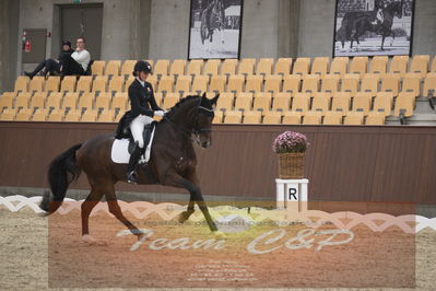Ecco Cup finaler 2019
youngrider, u18
Nøgleord: sophia ludvigsen;safari klintgaard