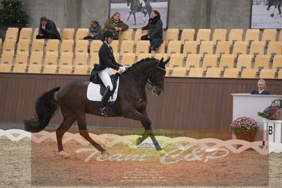 Ecco Cup finaler 2019
youngrider, u18
Nøgleord: sophia ludvigsen;safari klintgaard