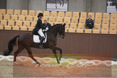 Ecco Cup finaler 2019
youngrider, u18
Nøgleord: sophia ludvigsen;safari klintgaard