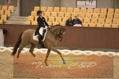 Ecco Cup finaler 2019
youngrider, u18
Nøgleord: sara aagaard hyrm;skovborgs romadinov