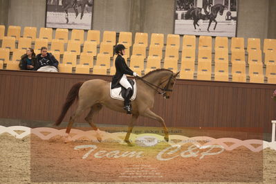 Ecco Cup finaler 2019
youngrider, u18
Nøgleord: sara aagaard hyrm;skovborgs romadinov