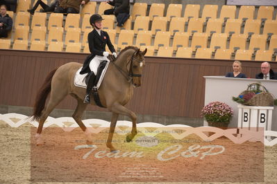 Ecco Cup finaler 2019
youngrider, u18
Nøgleord: sara aagaard hyrm;skovborgs romadinov