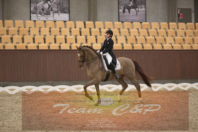 Ecco Cup finaler 2019
youngrider, u18
Nøgleord: sara aagaard hyrm;skovborgs romadinov