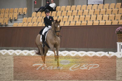 Ecco Cup finaler 2019
youngrider, u18
Nøgleord: sara aagaard hyrm;skovborgs romadinov