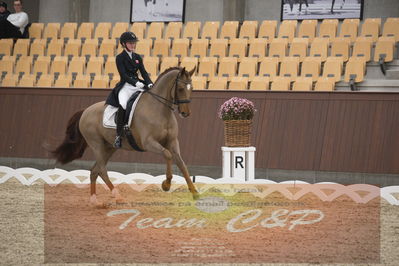 Ecco Cup finaler 2019
youngrider, u18
Nøgleord: sara aagaard hyrm;skovborgs romadinov