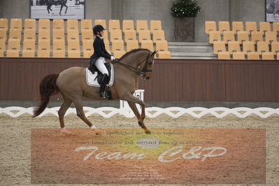 Ecco Cup finaler 2019
youngrider, u18
Nøgleord: sara aagaard hyrm;skovborgs romadinov