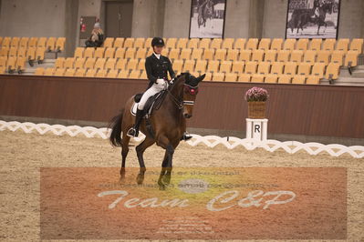 Ecco Cup finaler 2019
youngrider, u18
Nøgleord: ann sofie nilausen;elverhøjs sakharov