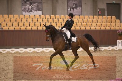 Ecco Cup finaler 2019
youngrider, u18
Nøgleord: ann sofie nilausen;elverhøjs sakharov