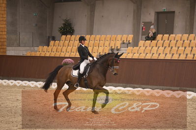 Ecco Cup finaler 2019
youngrider, u18
Nøgleord: ann sofie nilausen;elverhøjs sakharov