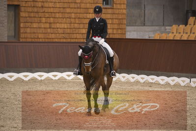 Ecco Cup finaler 2019
youngrider, u18
Nøgleord: ann sofie nilausen;elverhøjs sakharov