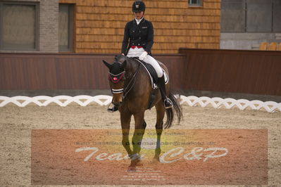 Ecco Cup finaler 2019
youngrider, u18
Nøgleord: ann sofie nilausen;elverhøjs sakharov