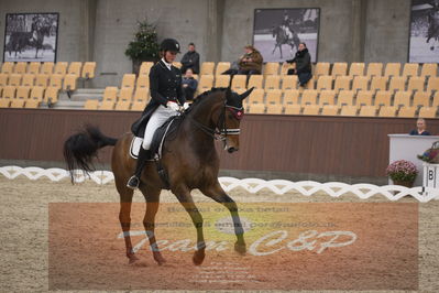 Ecco Cup finaler 2019
youngrider, u18
Nøgleord: ann sofie nilausen;elverhøjs sakharov