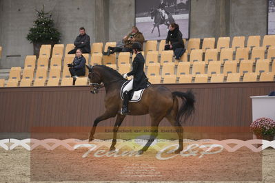 Ecco Cup finaler 2019
youngrider, u18
Nøgleord: ann sofie nilausen;elverhøjs sakharov