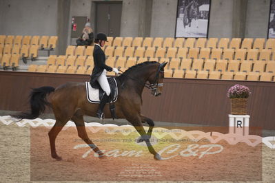 Ecco Cup finaler 2019
youngrider, u18
Nøgleord: ann sofie nilausen;elverhøjs sakharov