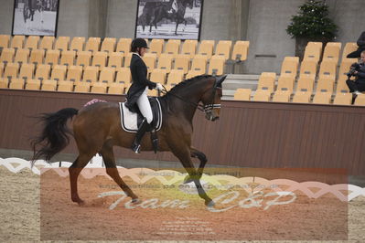 Ecco Cup finaler 2019
youngrider, u18
Nøgleord: ann sofie nilausen;elverhøjs sakharov