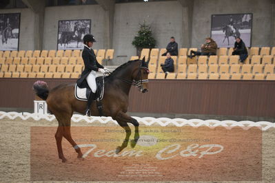 Ecco Cup finaler 2019
youngrider, u18
Nøgleord: ann sofie nilausen;elverhøjs sakharov