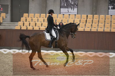 Ecco Cup finaler 2019
youngrider, u18
Nøgleord: ann sofie nilausen;elverhøjs sakharov