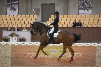 Ecco Cup finaler 2019
youngrider, u18
Nøgleord: ann sofie nilausen;elverhøjs sakharov