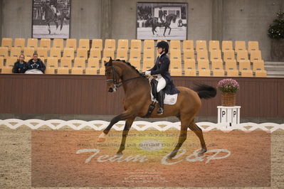 Ecco Cup finaler 2019
youngrider, u18
Nøgleord: christine marie senger;taarupgaards salvador