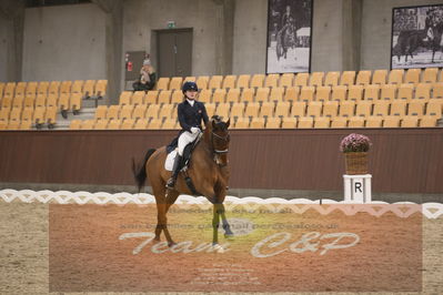 Ecco Cup finaler 2019
youngrider, u18
Nøgleord: christine marie senger;taarupgaards salvador