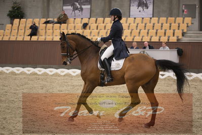 Ecco Cup finaler 2019
youngrider, u18
Nøgleord: christine marie senger;taarupgaards salvador