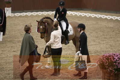 Ecco Cup finaler 2019
youngrider, u18
Nøgleord: sophia ludvigsen;safari klintgaard;lap of honour