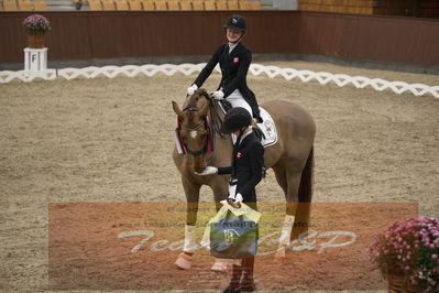 Ecco Cup finaler 2019
youngrider, u18
Nøgleord: sophia ludvigsen;safari klintgaard;lap of honour