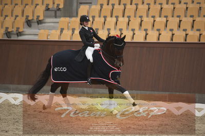 Ecco Cup finaler 2019
youngrider, u18
Nøgleord: sophia ludvigsen;safari klintgaard;lap of honour