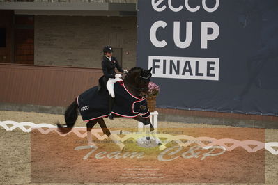 Ecco Cup finaler 2019
youngrider, u18
Nøgleord: sophia ludvigsen;safari klintgaard;lap of honour
