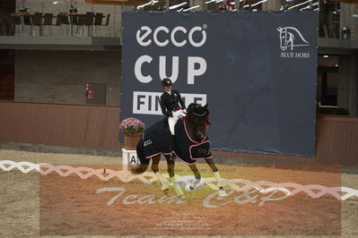 Ecco Cup finaler 2019
youngrider, u18
Nøgleord: sophia ludvigsen;safari klintgaard;lap of honour