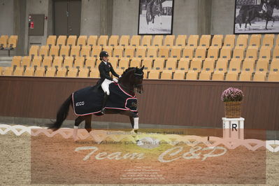 Ecco Cup finaler 2019
youngrider, u18
Nøgleord: sophia ludvigsen;safari klintgaard;lap of honour