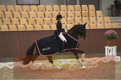 Ecco Cup finaler 2019
youngrider, u18
Nøgleord: sophia ludvigsen;safari klintgaard;lap of honour
