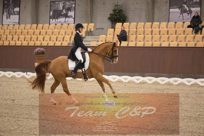 Ecco Cup finaler 2019
u 25
Nøgleord: amalie cecilie overgaard;limbo rock