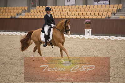 Ecco Cup finaler 2019
u 25
Nøgleord: amalie cecilie overgaard;limbo rock