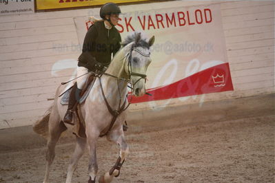 c - Stævne spring
Nøgleord: nanna josephine crown;ab's qirocco blue