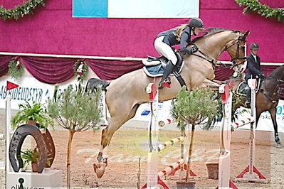 B springstævne
basisbank bronzetur
Nøgleord: anastasia hoffmann;cristobal  s