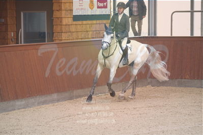 Dansk Rideforbunds Championats finaler 2018 spring
Dansk Rideforbunds Championats finaler 2018
spring 6års
Nøgleord: cyrano ask;søren møller rohde