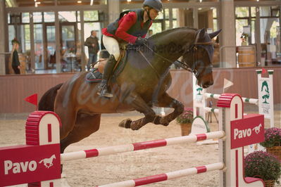 Dansk Rideforbunds Championats finaler 2018 spring
Dansk Rideforbunds Championats finaler 2018
spring 6års
Nøgleord: engerupgaards cashatt;rikke hasstrup kristensen