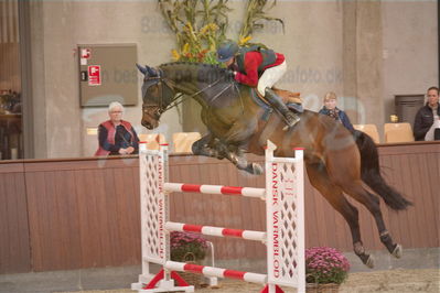 Dansk Rideforbunds Championats finaler 2018 spring
Dansk Rideforbunds Championats finaler 2018
spring 6års
Nøgleord: engerupgaards cashatt;rikke hasstrup kristensen