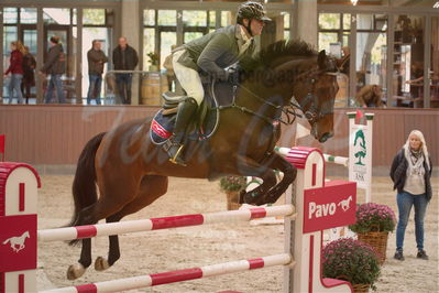 Dansk Rideforbunds Championats finaler 2018 spring
Dansk Rideforbunds Championats finaler 2018
spring 6års
Nøgleord: one 4 camilla k;marc christensen