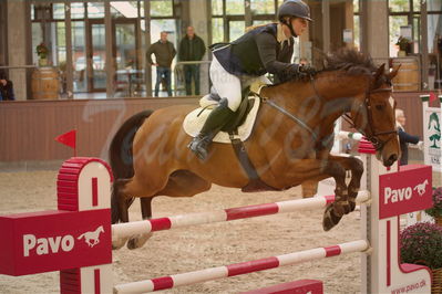 Dansk Rideforbunds Championats finaler 2018 spring
Dansk Rideforbunds Championats finaler 2018
spring 6års
Nøgleord: zenith pp z;josefine quiisgaard petersen