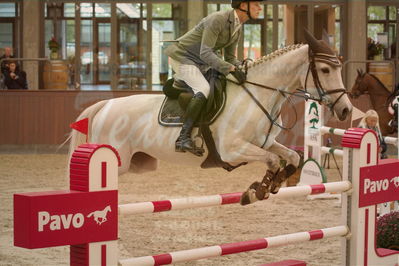 Dansk Rideforbunds Championats finaler 2018 spring
Dansk Rideforbunds Championats finaler 2018
spring 6års
Nøgleord: lugranda;martin mose knudsen